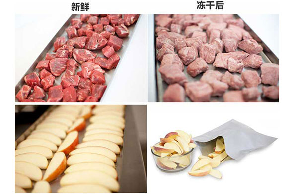 真空干燥的原理、特點及應(yīng)用，真空泵如何在其中發(fā)揮作用？