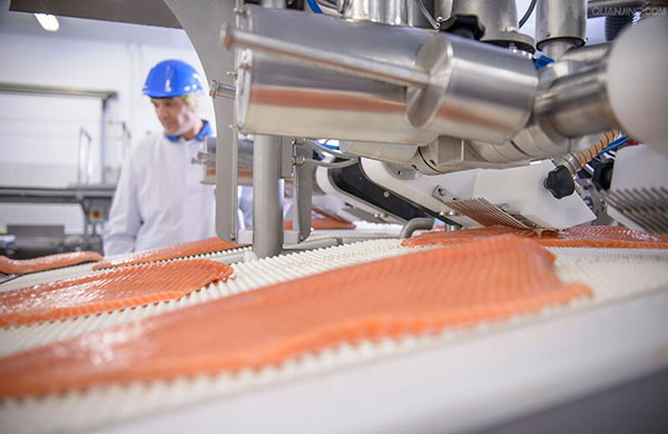 食品工業如何正確選擇真空泵？