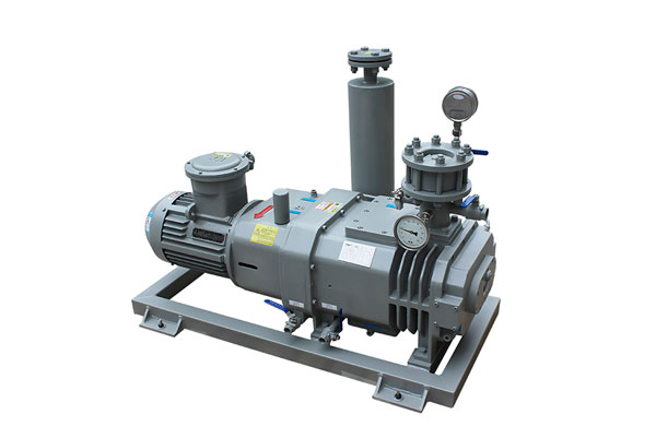 干式螺桿泵泵 干式螺桿泵泵